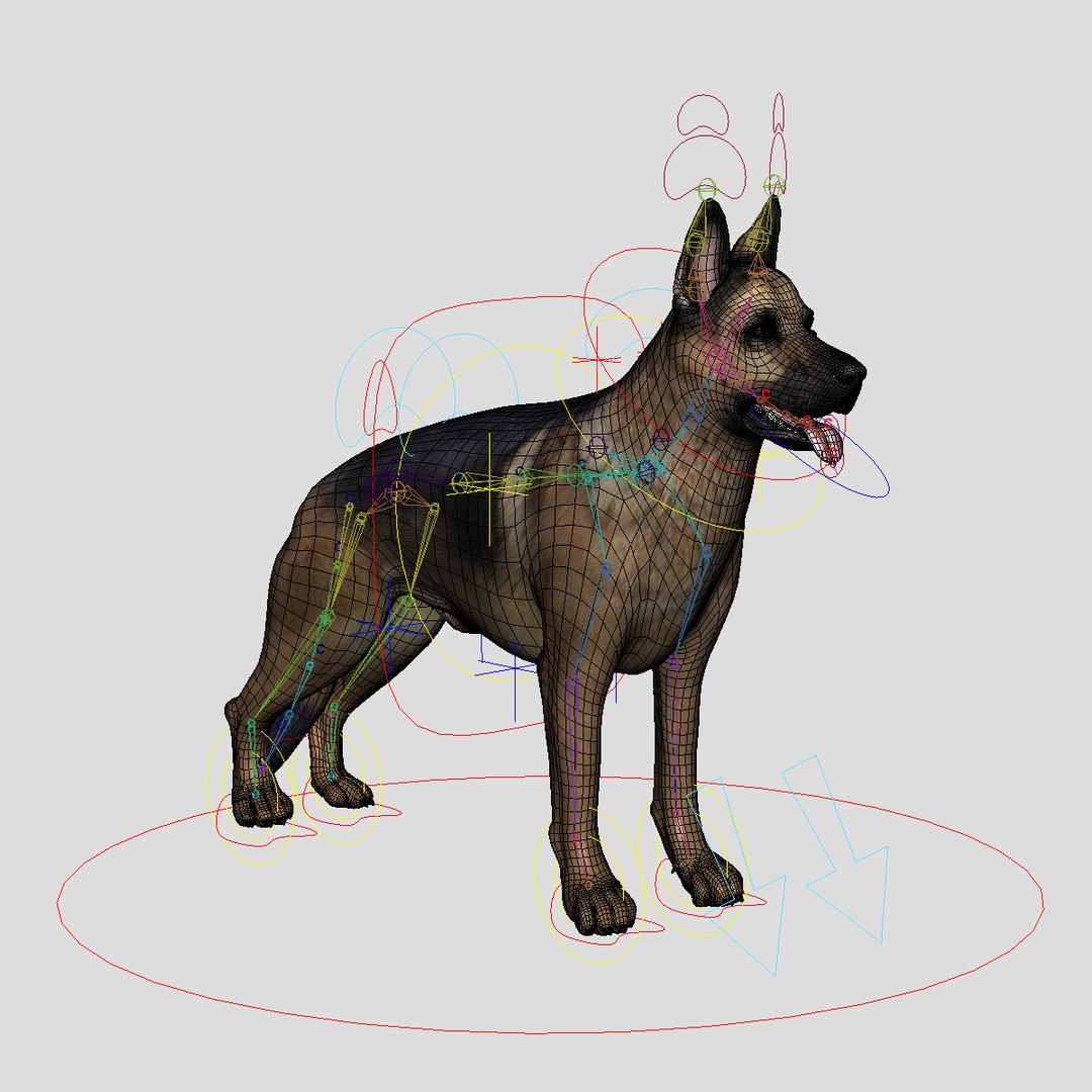 german shepherd fur animations 3d model https://p.turbosquid.com/ts-thumb/vo/71fvNA/4c3kGQS7/hd12/jpg/1306587003/1920x1080/fit_q87/df53dc919efdfb6f9df493e55cd622fd32a58133/hd12.jpg