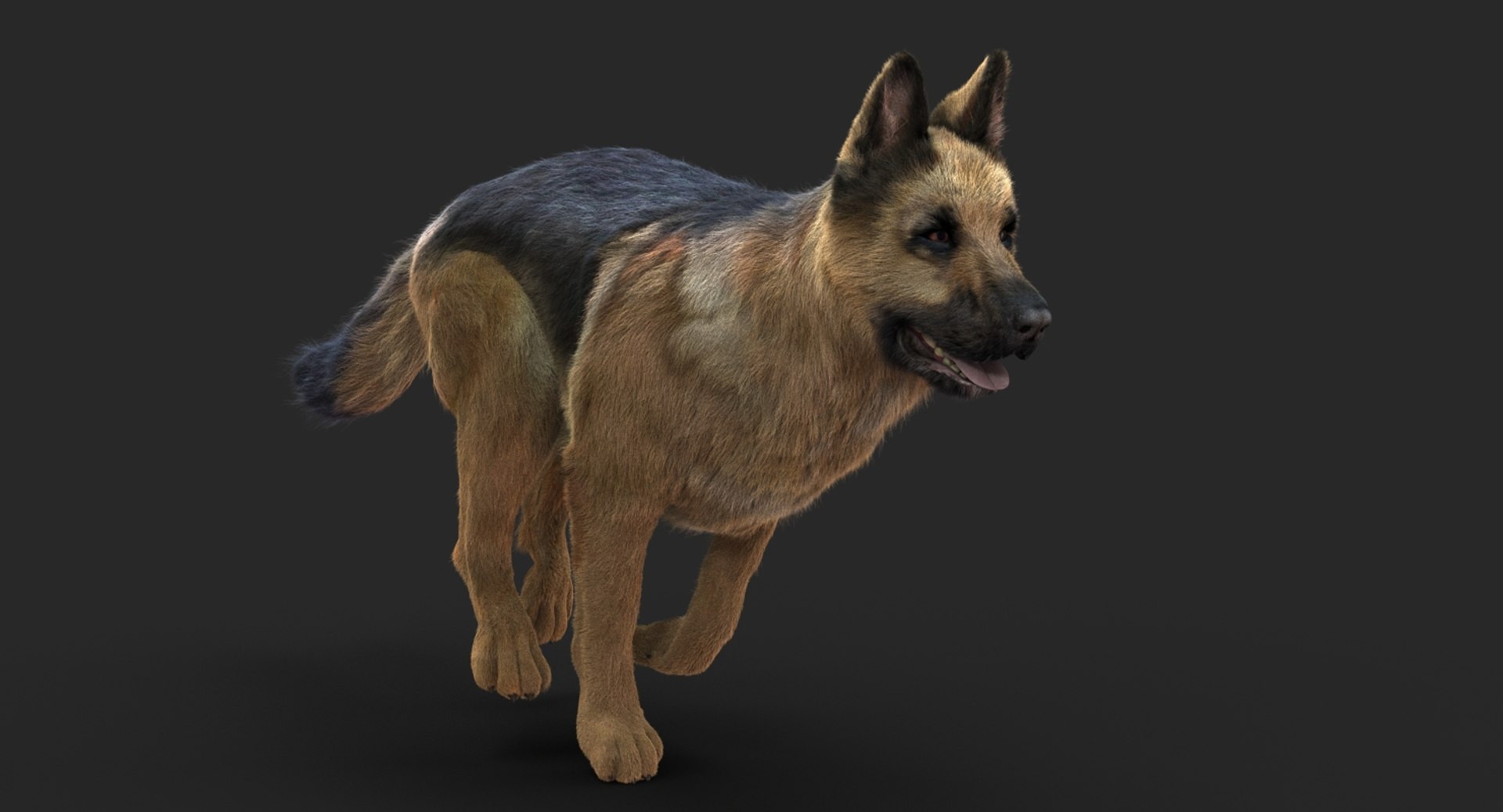 german shepherd fur animations 3d model https://p.turbosquid.com/ts-thumb/vo/71fvNA/FQHCJzAy/01/jpg/1543388076/1920x1080/fit_q87/6d814c29c5b916007ba8631c50334984031c223a/01.jpg