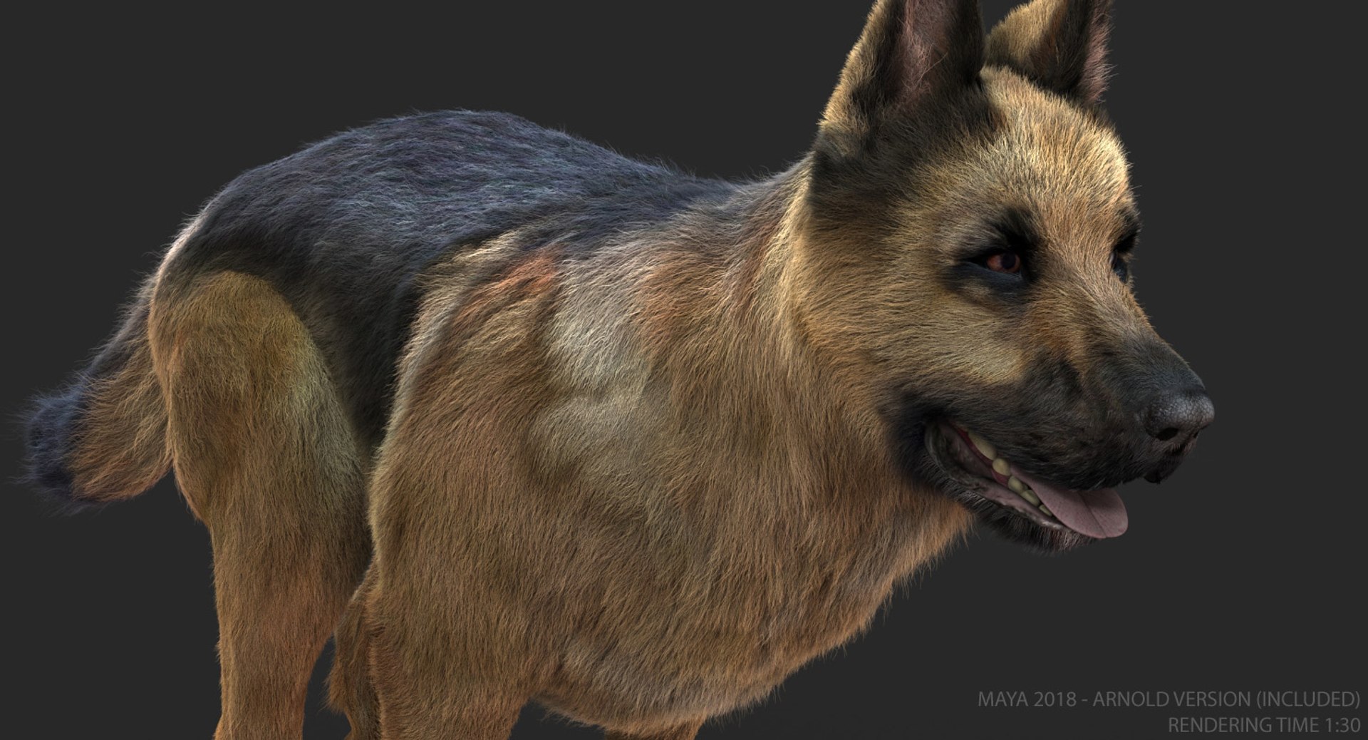 german shepherd fur animations 3d model https://p.turbosquid.com/ts-thumb/vo/71fvNA/TRmaM4SW/02/jpg/1543388076/1920x1080/fit_q87/54331104d45cd77d52bd9af423dc9b4a2f206e3b/02.jpg