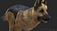 German Shepherd (FUR) (ANIMATED)