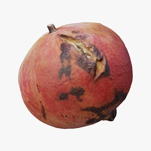 Pomegranate Scan