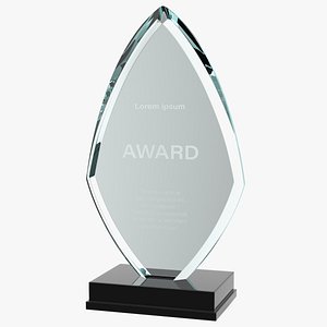3D flame glass award trophy