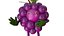 Paquete de personajes de frutas en 3D