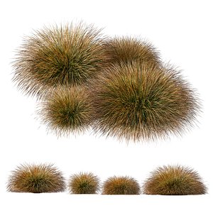 HQ Plants Carex Testacea Orange Sedge Grass Prairie Fire Version4 3D model
