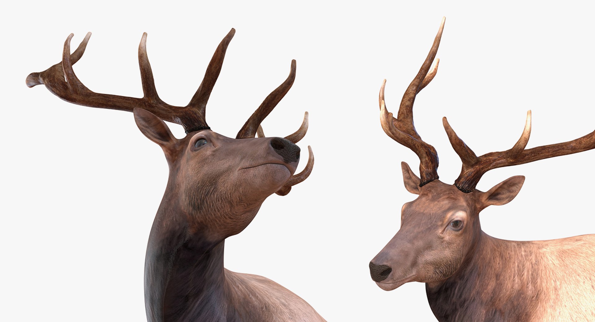 Santa Accessories Collection 3D model https://p.turbosquid.com/ts-thumb/vo/XqsZQ6/tW/santaaccesoriescollectionc4dmodel033/jpg/1642578355/1920x1080/fit_q87/9b3921661fb31bdd017d792105a6a1d22aa4f5e9/santaaccesoriescollectionc4dmodel033.jpg