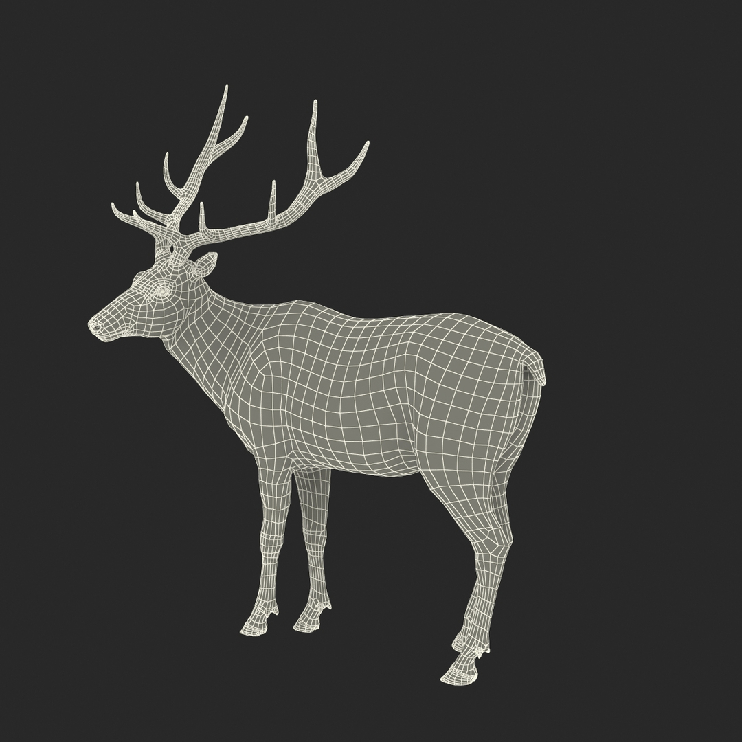 Santa Accessories Collection 3D model https://p.turbosquid.com/ts-thumb/vo/XqsZQ6/ua/elk_pose_2_361/jpg/1642579326/1920x1080/turn_fit_q99/408204d78eb69be94931e0d9717ce88c59892bc3/elk_pose_2_361-1.jpg