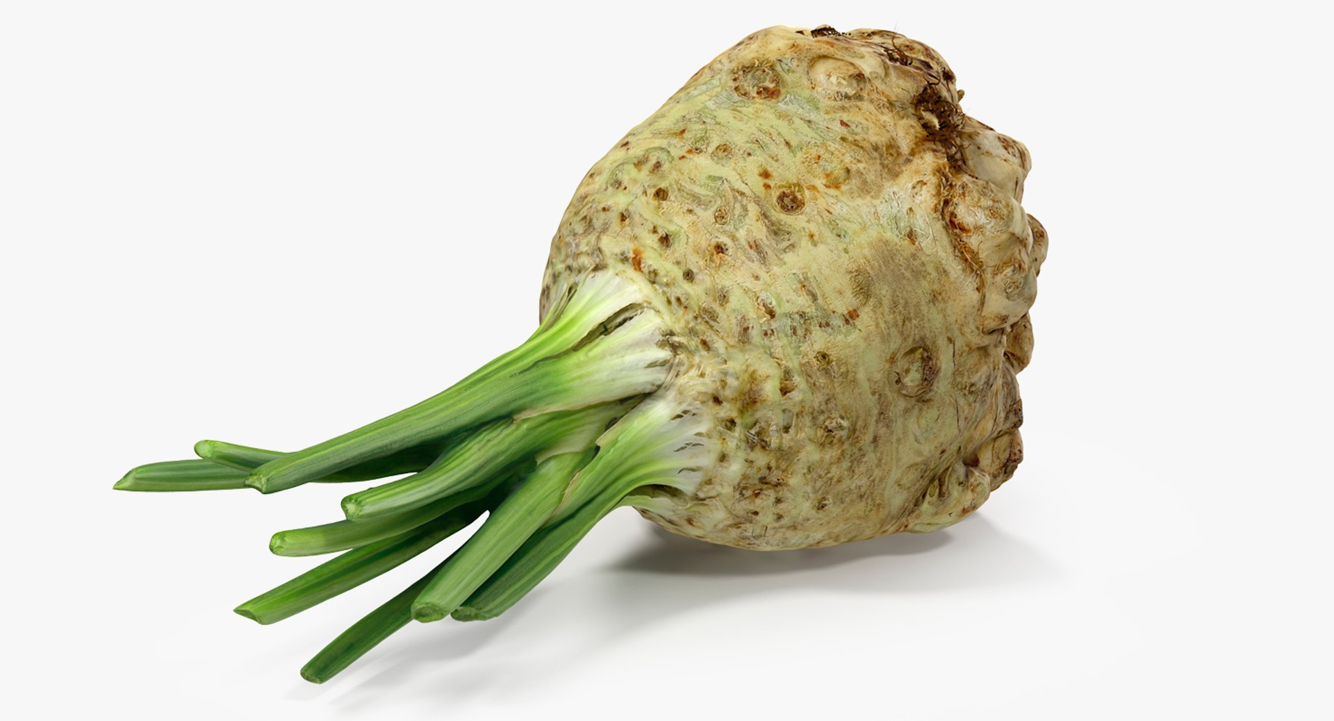 Celery Root 3D model preview