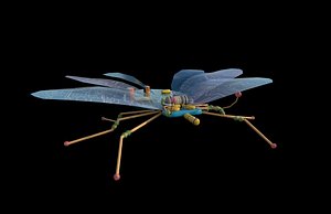 Spy Bug