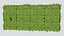 Ivy Leaf Hedge Wall Panel - Dense Foliage Greenery Wall for Facade Fence and Courtyard