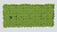 Ivy Leaf Hedge Wall Panel - Dense Foliage Greenery Wall for Facade Fence and Courtyard