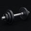 Weights