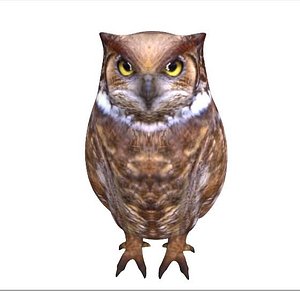 Great Horned Owl T-Pose 3D, Incl. animal & bird - Envato Elements