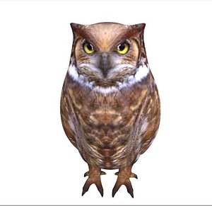 Owl Low Poly Rigged