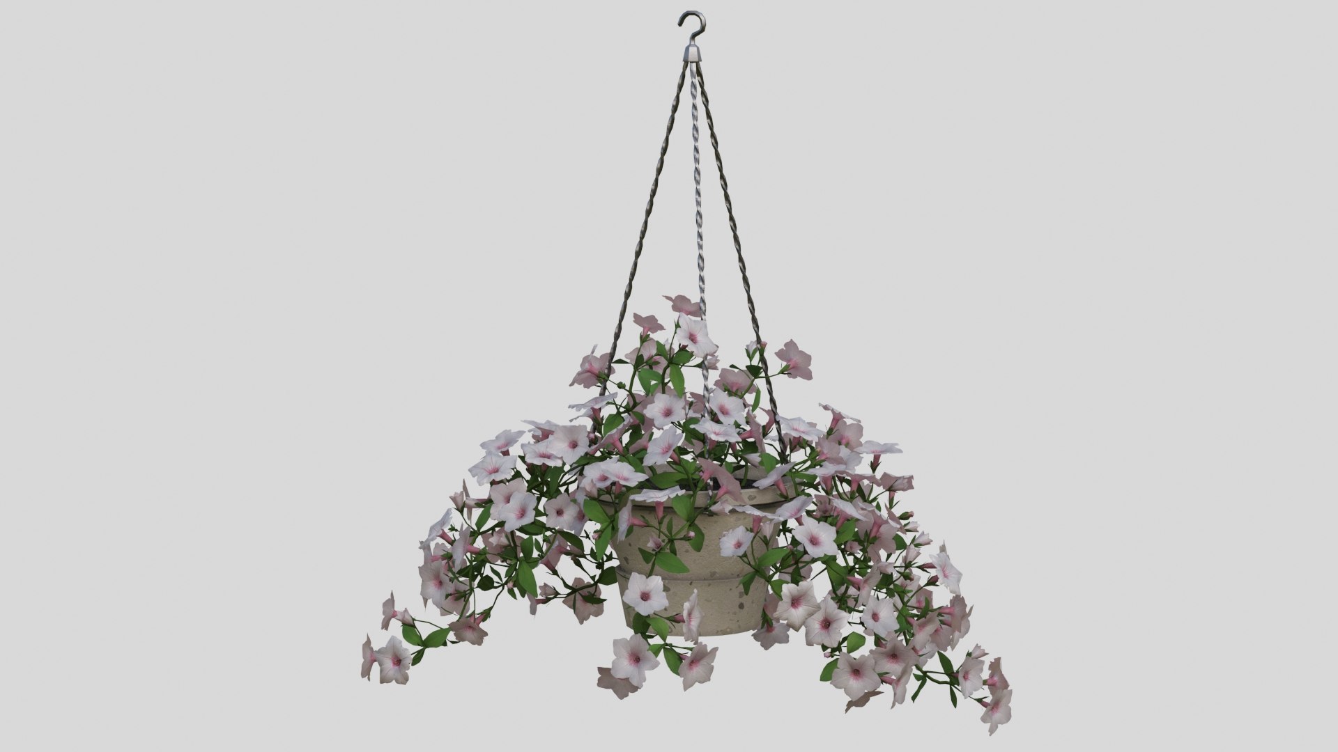 White Hanging flower Petunia 3D model https://p.turbosquid.com/ts-thumb/vp/E2UOGa/91/003/jpg/1632598126/1920x1080/fit_q87/24c544c11b9972eae2d80a09c8d8b6e278de786c/003.jpg