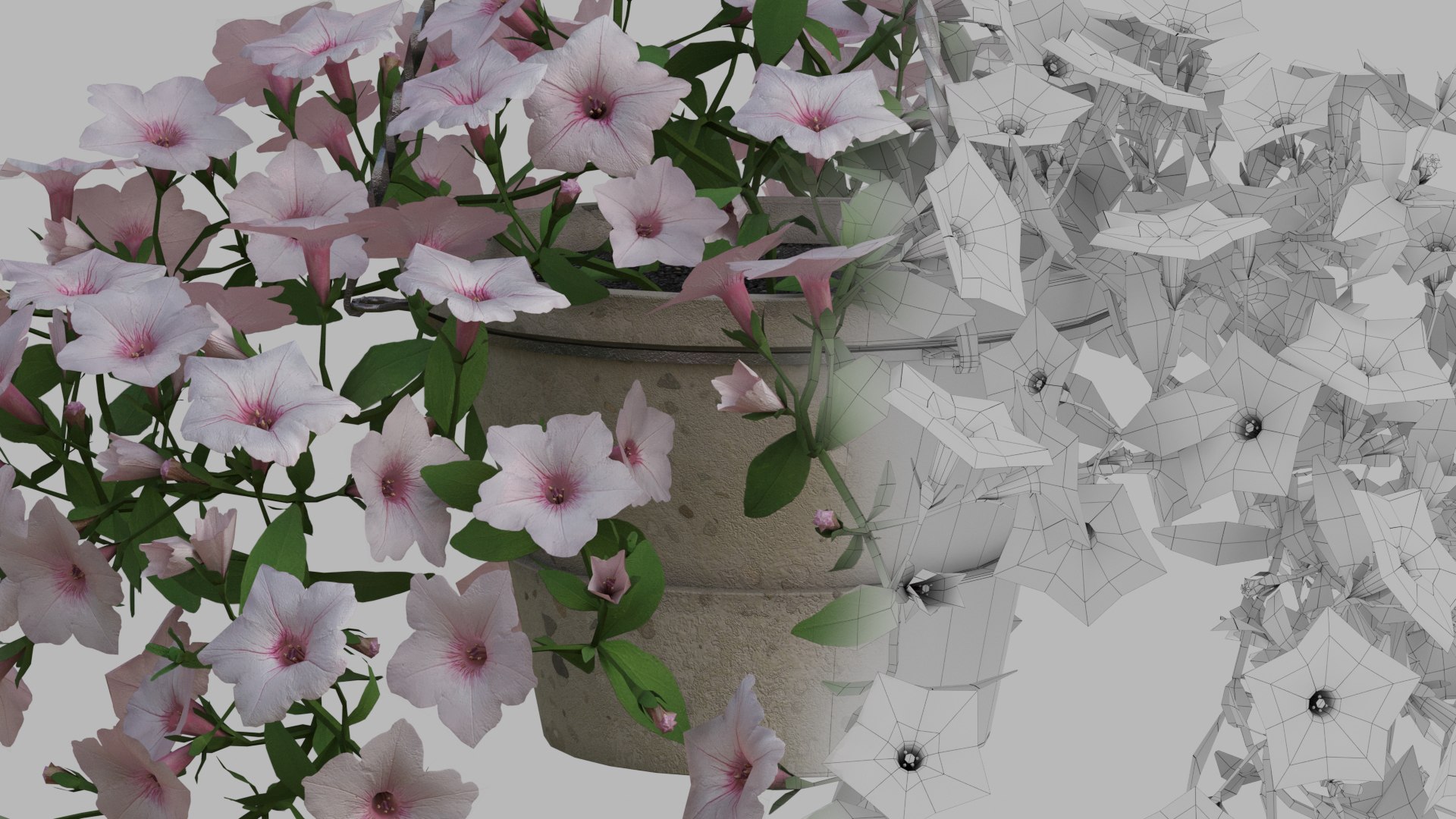 White Hanging flower Petunia 3D model https://p.turbosquid.com/ts-thumb/vp/E2UOGa/Li/012/jpg/1632598247/1920x1080/fit_q87/62c16ca42ff561df01d1de27cb257611c15e8832/012.jpg