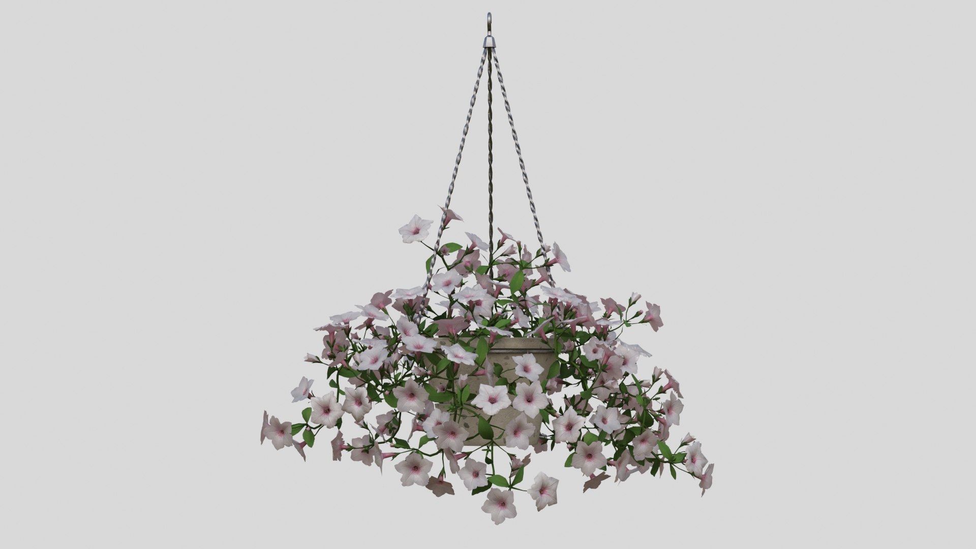 White Hanging flower Petunia 3D model https://p.turbosquid.com/ts-thumb/vp/E2UOGa/OX/002/jpg/1632598124/1920x1080/fit_q87/064c5561b39222dd37d2588a456344792d5a644a/002.jpg