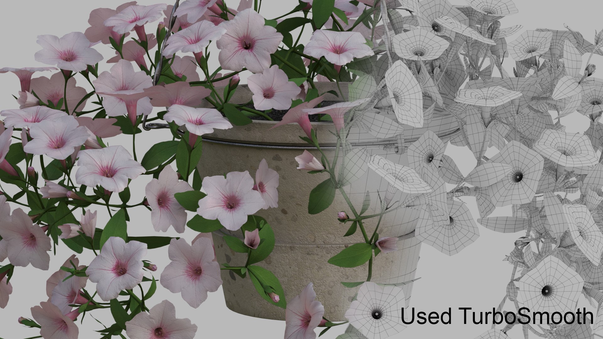 White Hanging flower Petunia 3D model https://p.turbosquid.com/ts-thumb/vp/E2UOGa/S7/011/jpg/1632598234/1920x1080/fit_q87/4da226965a5b14025fd2582bfbaa756200617c68/011.jpg