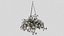 White Hanging flower Petunia