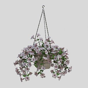 White Hanging flower Petunia 3D model
