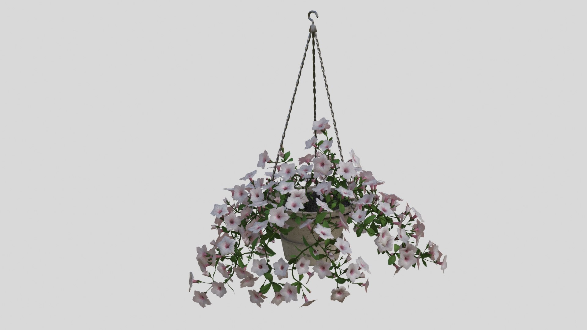 White Hanging flower Petunia 3D model https://p.turbosquid.com/ts-thumb/vp/E2UOGa/om/006/jpg/1632598151/1920x1080/fit_q87/9a3b6d1051ca62b69db81ee5a01c6c4d2abf34fa/006.jpg
