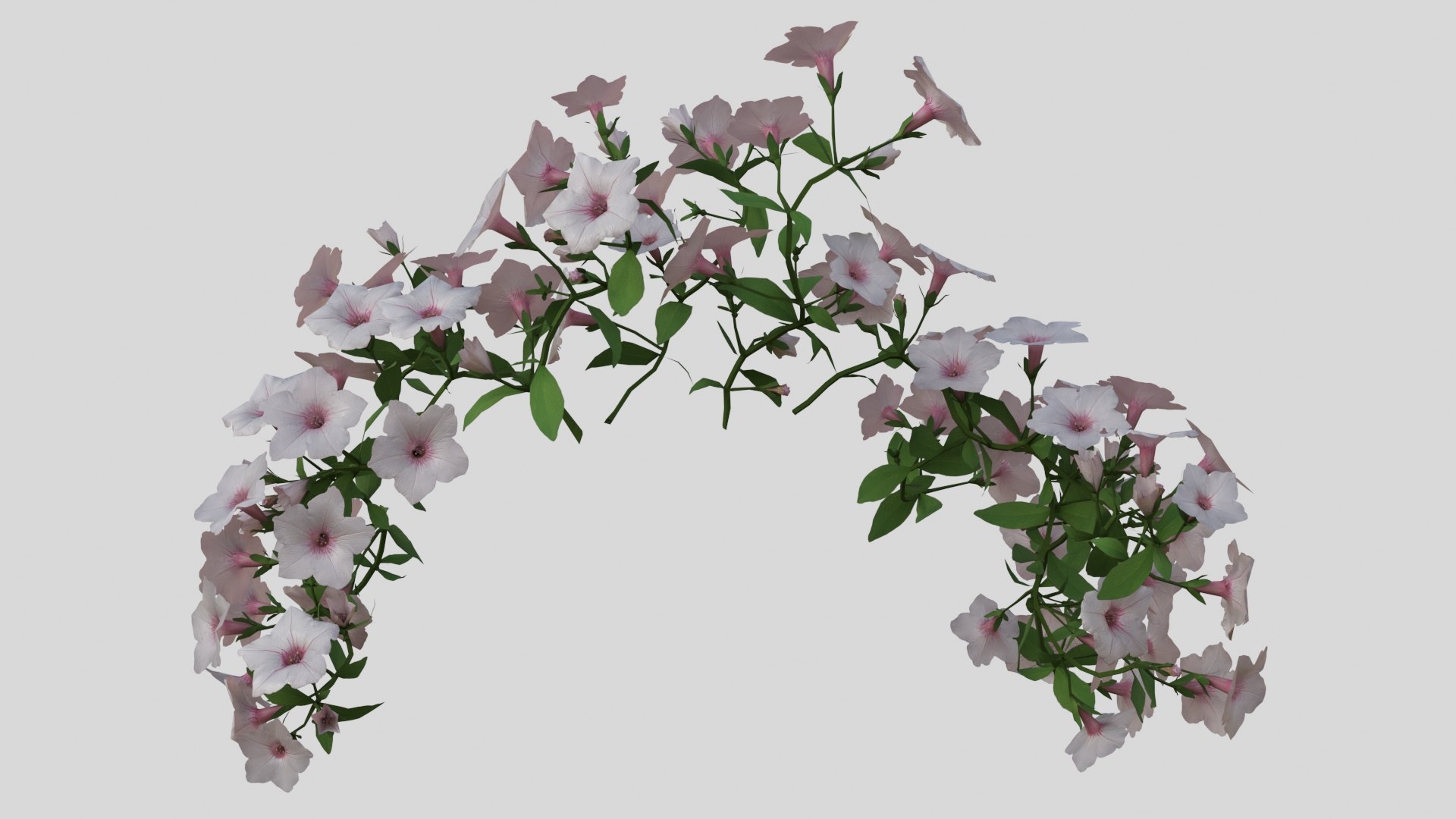 White Hanging flower Petunia 3D model https://p.turbosquid.com/ts-thumb/vp/E2UOGa/pf/008/jpg/1632598196/1920x1080/fit_q87/6cc3a2d0d9d62ed1432a13d3a17949488286e9aa/008.jpg
