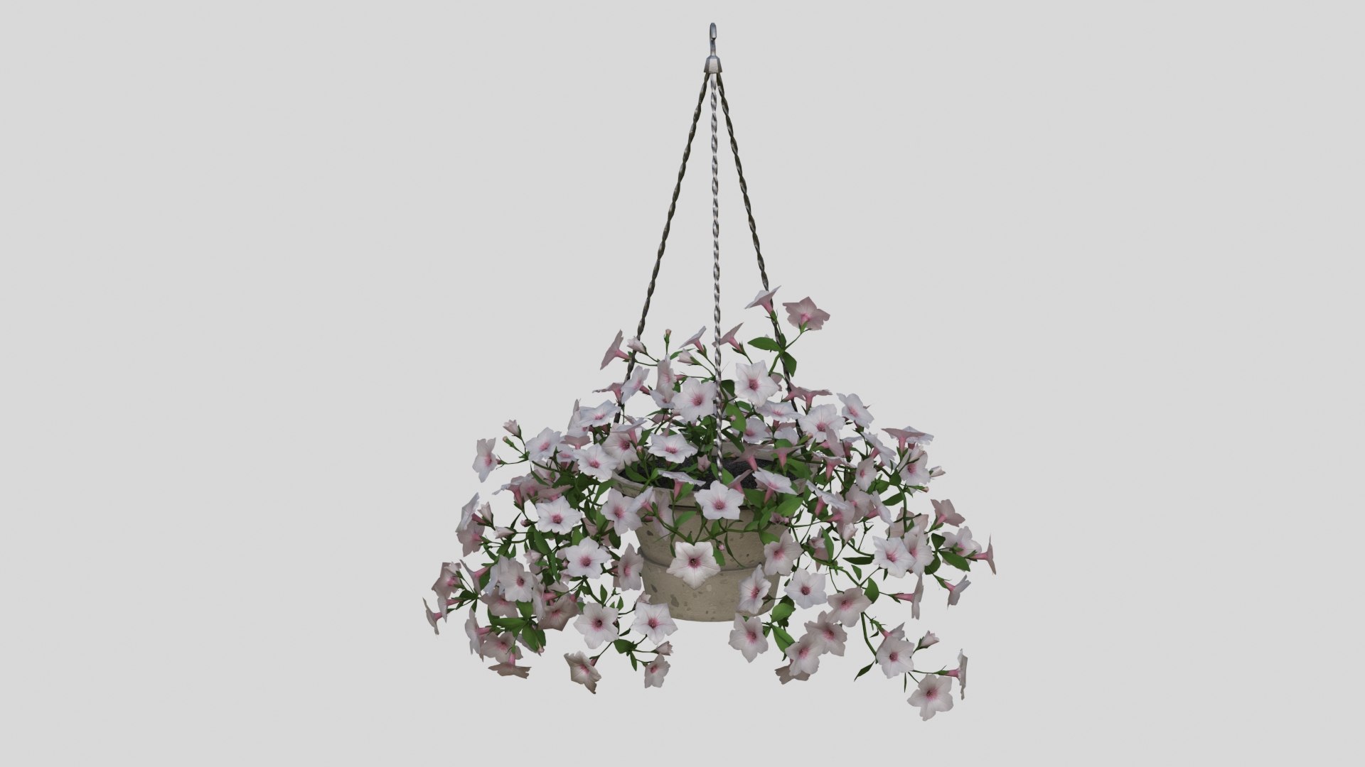 White Hanging flower Petunia 3D model https://p.turbosquid.com/ts-thumb/vp/E2UOGa/t9/005/jpg/1632598148/1920x1080/fit_q87/2711e8f1656db7f79a36a36de96a7288caa1a480/005.jpg
