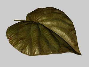 leaf