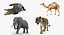 African Animals Rigged Collection for Cinema 4D