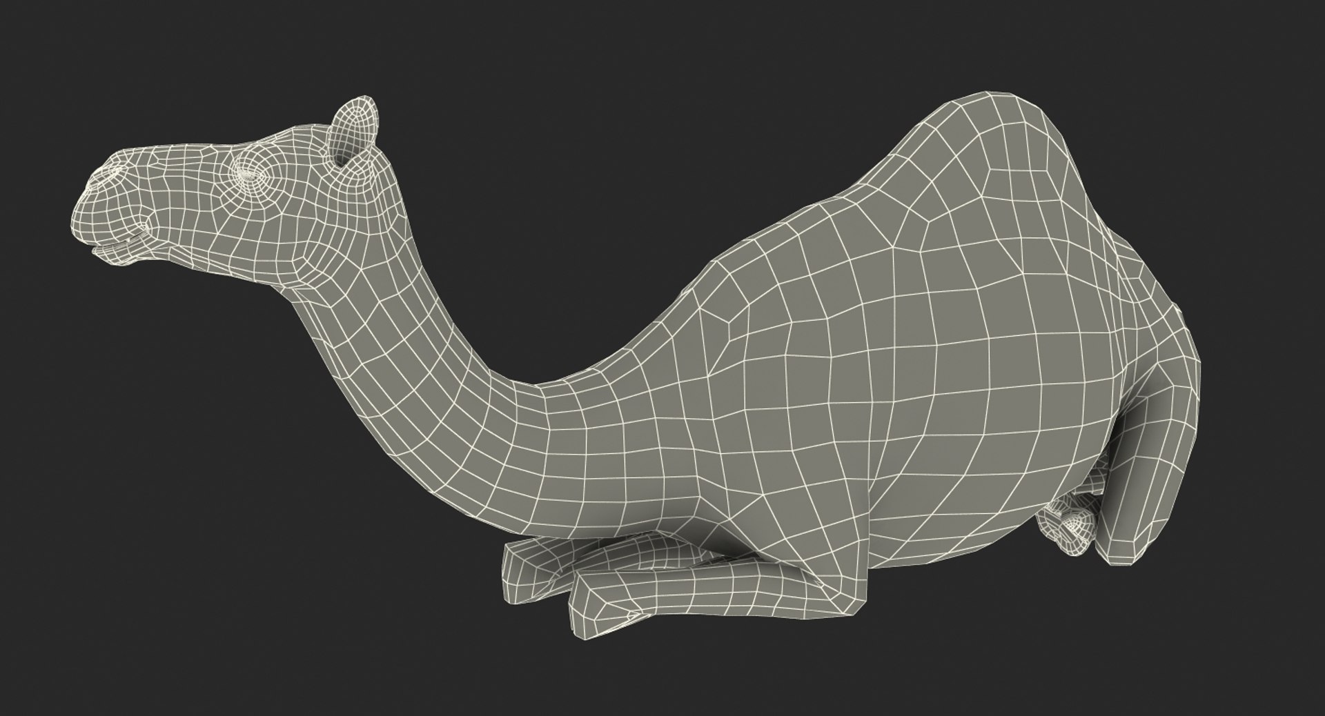 african animals rigged 3D https://p.turbosquid.com/ts-thumb/vp/QCh2FA/6qT0Cqak/riggedafricananimalscollectionmb3dmodel036/jpg/1529569992/1920x1080/fit_q87/0fba48c972c9378162bc9ea103446c95efe6da62/riggedafricananimalscollectionmb3dmodel036.jpg