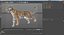African Animals Rigged Collection for Cinema 4D