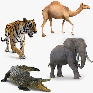 African Animals Rigged Collection for Cinema 4D