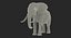 African Animals Rigged Collection for Cinema 4D
