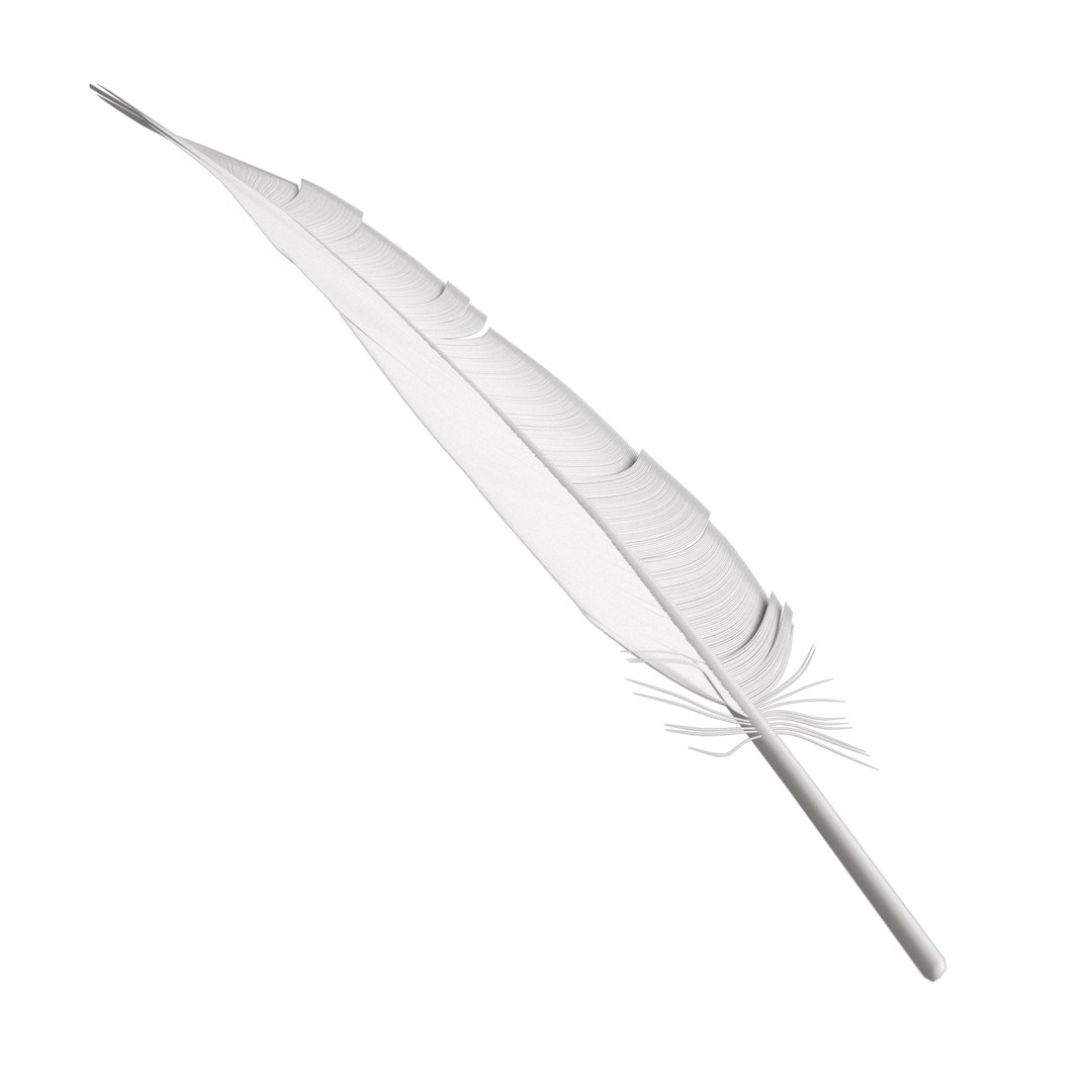 Feather Geometry 3D - TurboSquid 2221550
