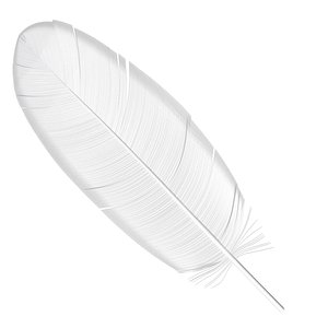 feather geometry 3D