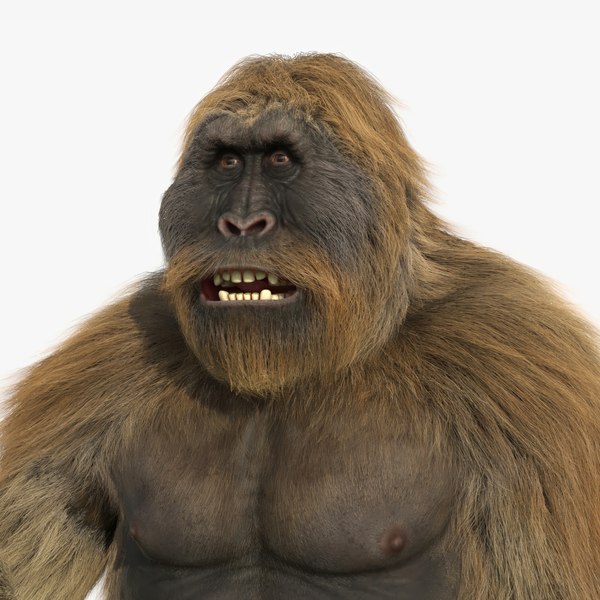 modelo 3d Gigantopithecus con piel aparejada - TurboSquid 2311874