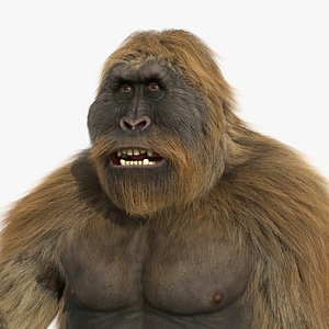 Gigantopithecus Fur Rigged