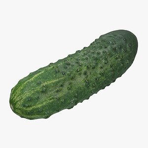 realistic cucumber 3D model