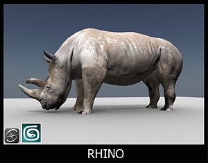 rhino 3d model