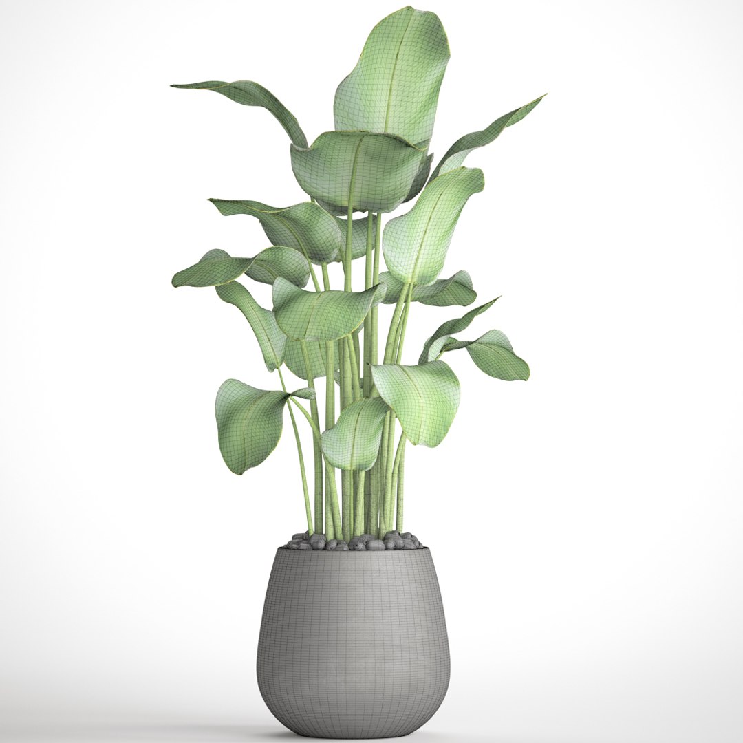 Banana Plants 3D - TurboSquid 1154203