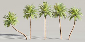 Low Poly Palm Trees Collection Vol 280-Blender-3dmodel