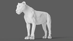 Lion Model