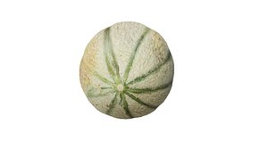 3D model melon