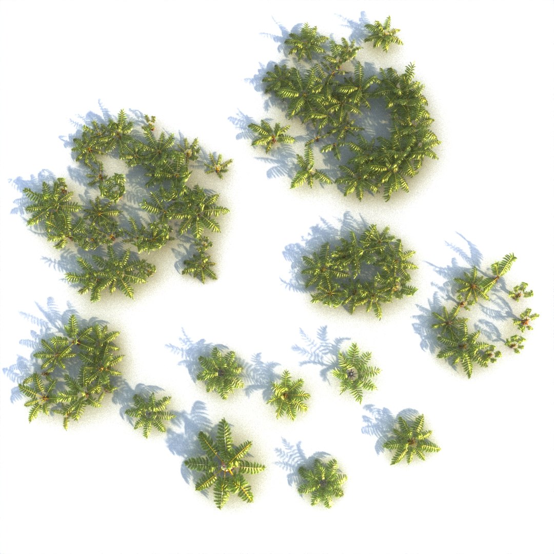 fern ecosystems pack 3D https://p.turbosquid.com/ts-thumb/vq/BUnfRG/Xf/3334234/jpg/1610054640/1920x1080/fit_q87/35496109562caeb0d2da5c8fad92b578c7709186/3334234.jpg