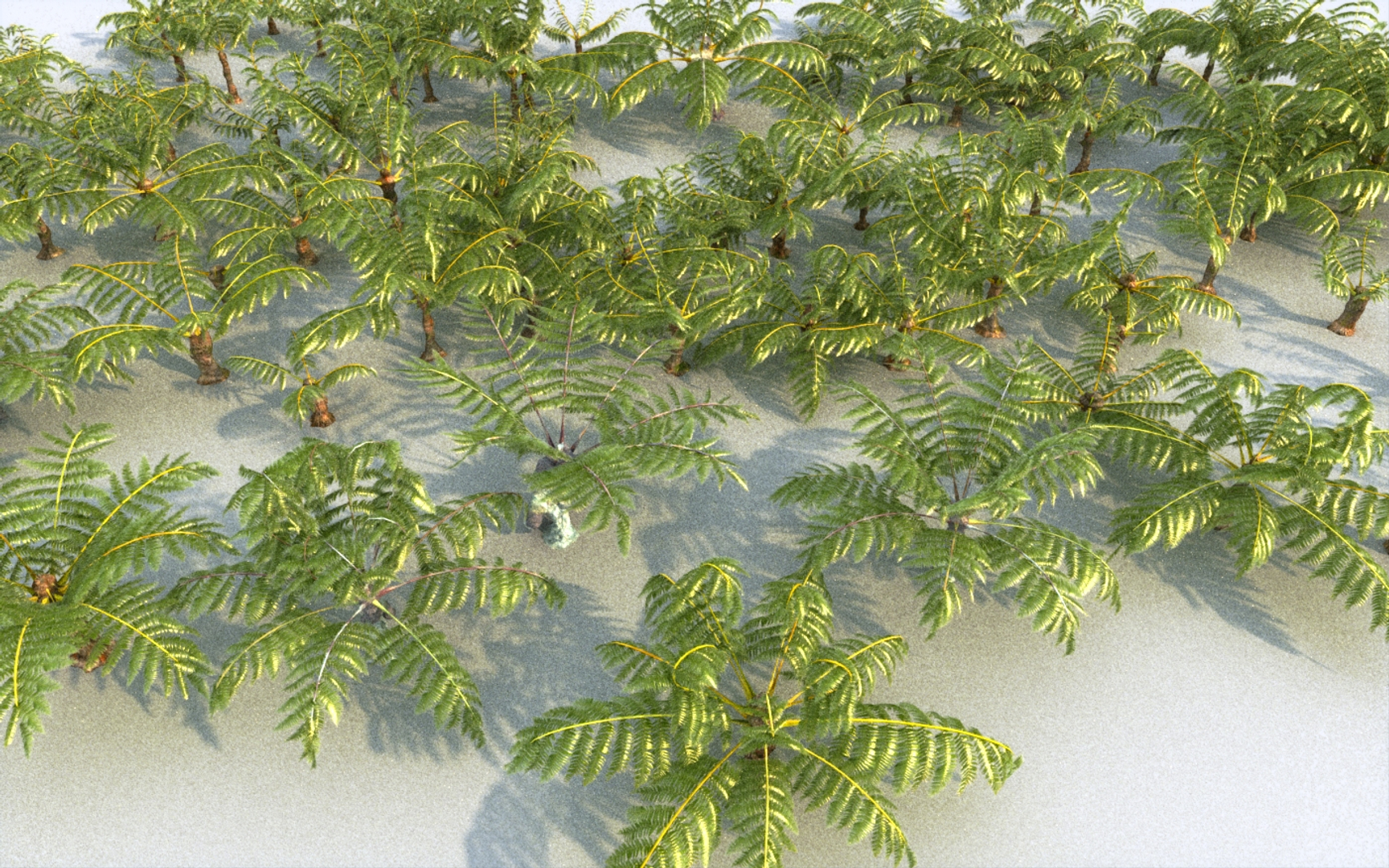fern ecosystems pack 3D https://p.turbosquid.com/ts-thumb/vq/BUnfRG/hf/0000/jpg/1610052106/1920x1080/turn_fit_q99/f433798e5fde72082e948df8d91fb633df3dd256/0000-1.jpg