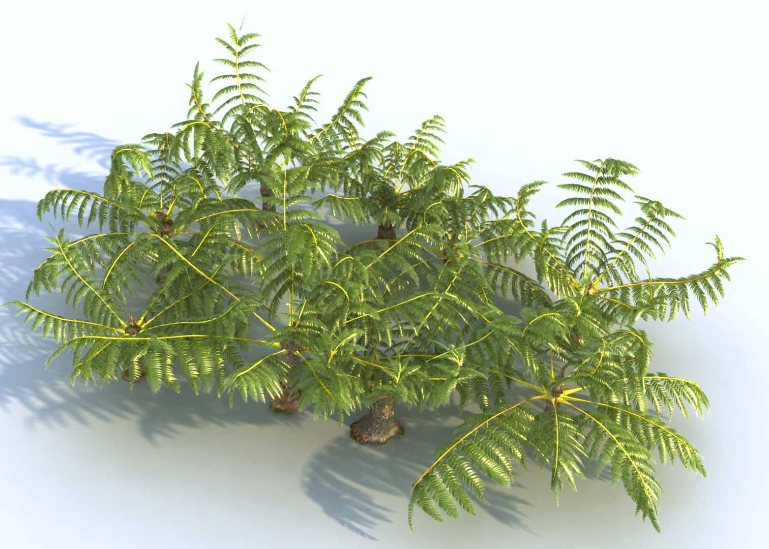 fern ecosystems pack 3D https://p.turbosquid.com/ts-thumb/vq/BUnfRG/k2/0000/jpg/1610055165/1920x1080/turn_fit_q99/ede89ed032a909415c1474dd7154979d112b2fbd/0000-1.jpg