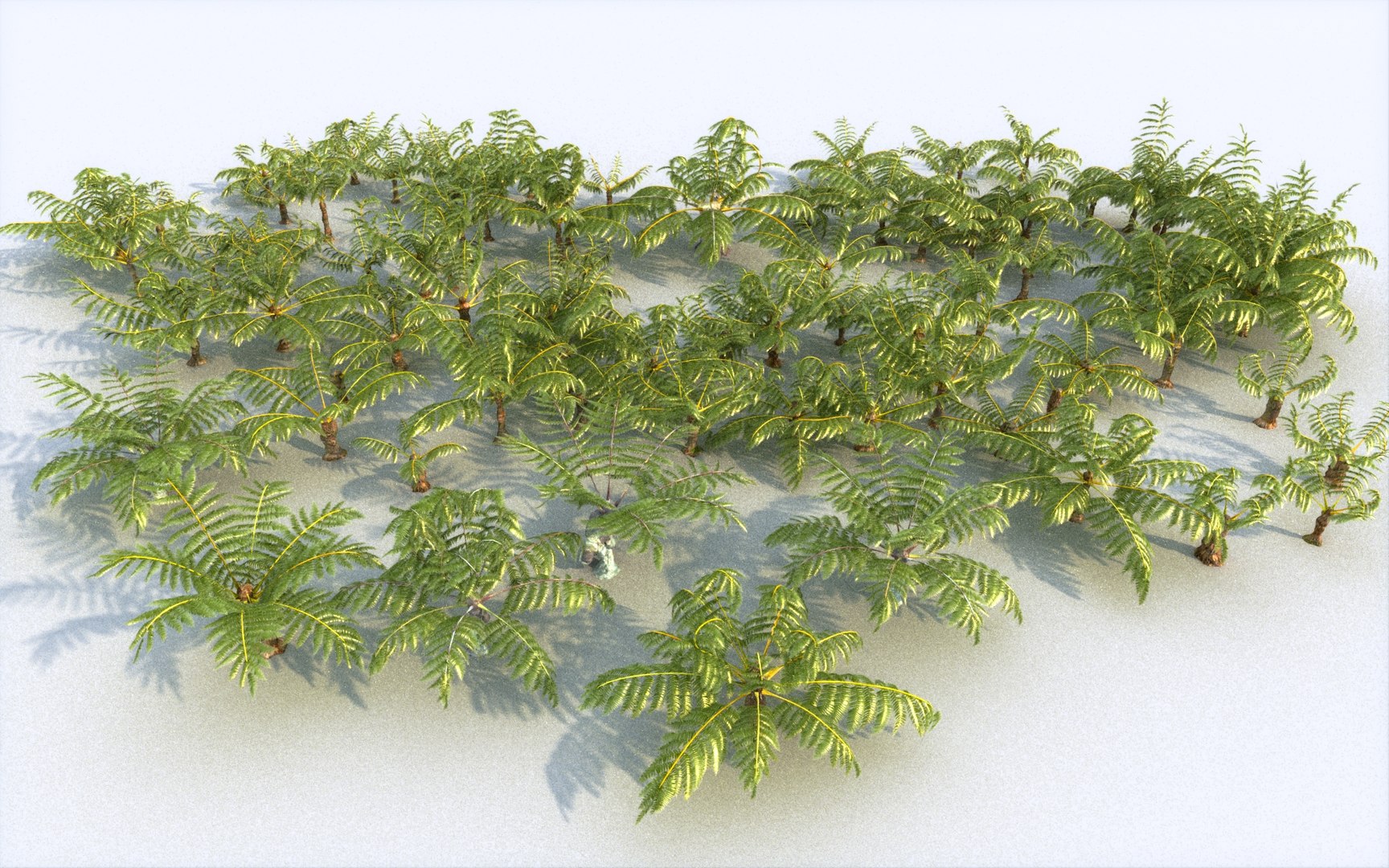 fern ecosystems pack 3D https://p.turbosquid.com/ts-thumb/vq/BUnfRG/wS/6666/jpg/1610050982/1920x1080/fit_q87/8264337d4f43efb5aede76104ef594fb22cd9958/6666.jpg