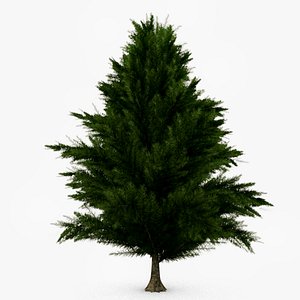Pine Tree - Game Resolution