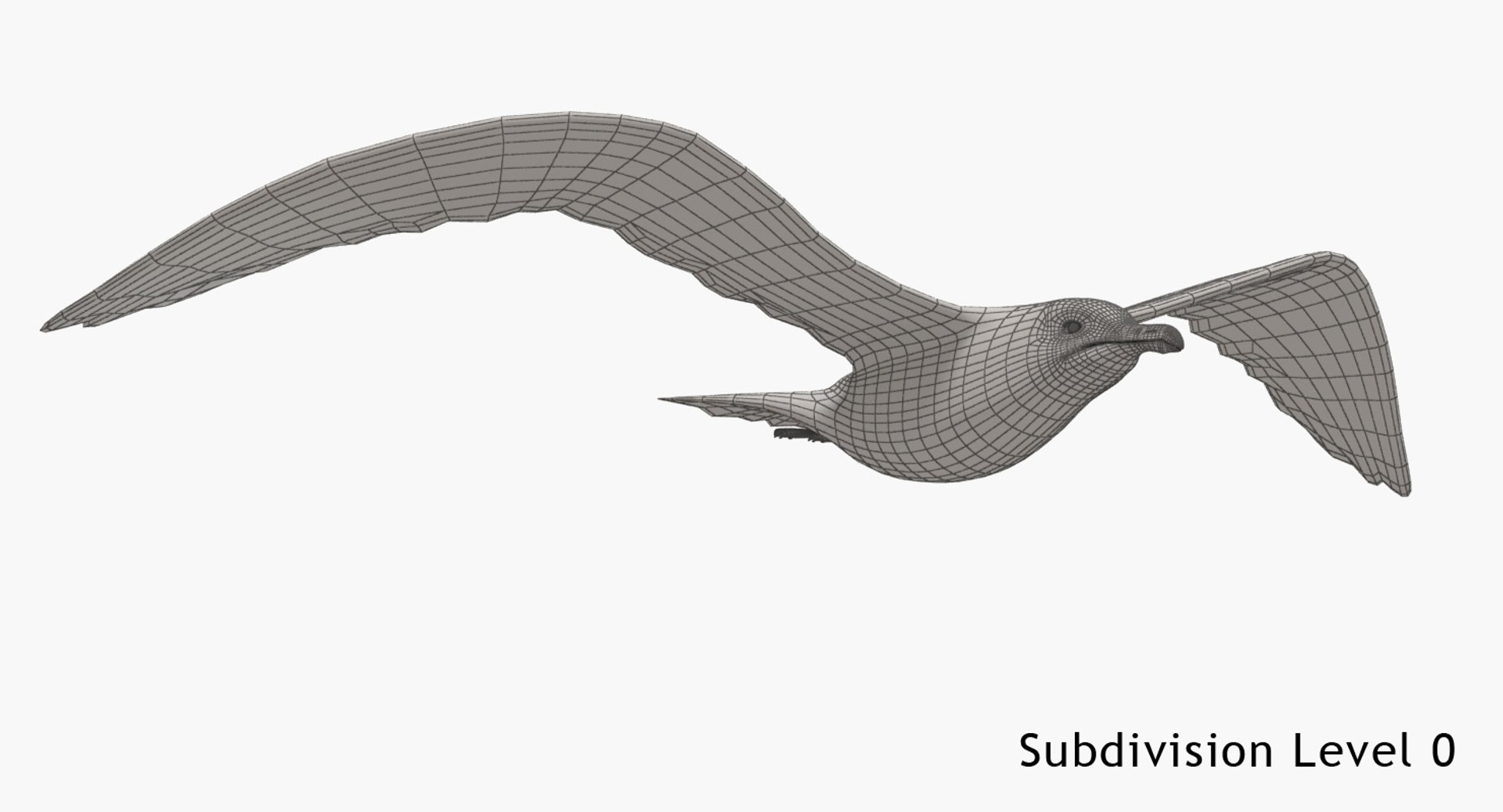 3d seagull flying animation model https://p.turbosquid.com/ts-thumb/vq/K2YBXl/D2EsTHKC/w3/jpg/1478087830/1920x1080/fit_q87/bccd936c3ba89a10e16a0552879f8e7b26e1e718/w3.jpg