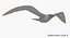 Seagull (Animated)