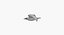 Seagull (Animated)
